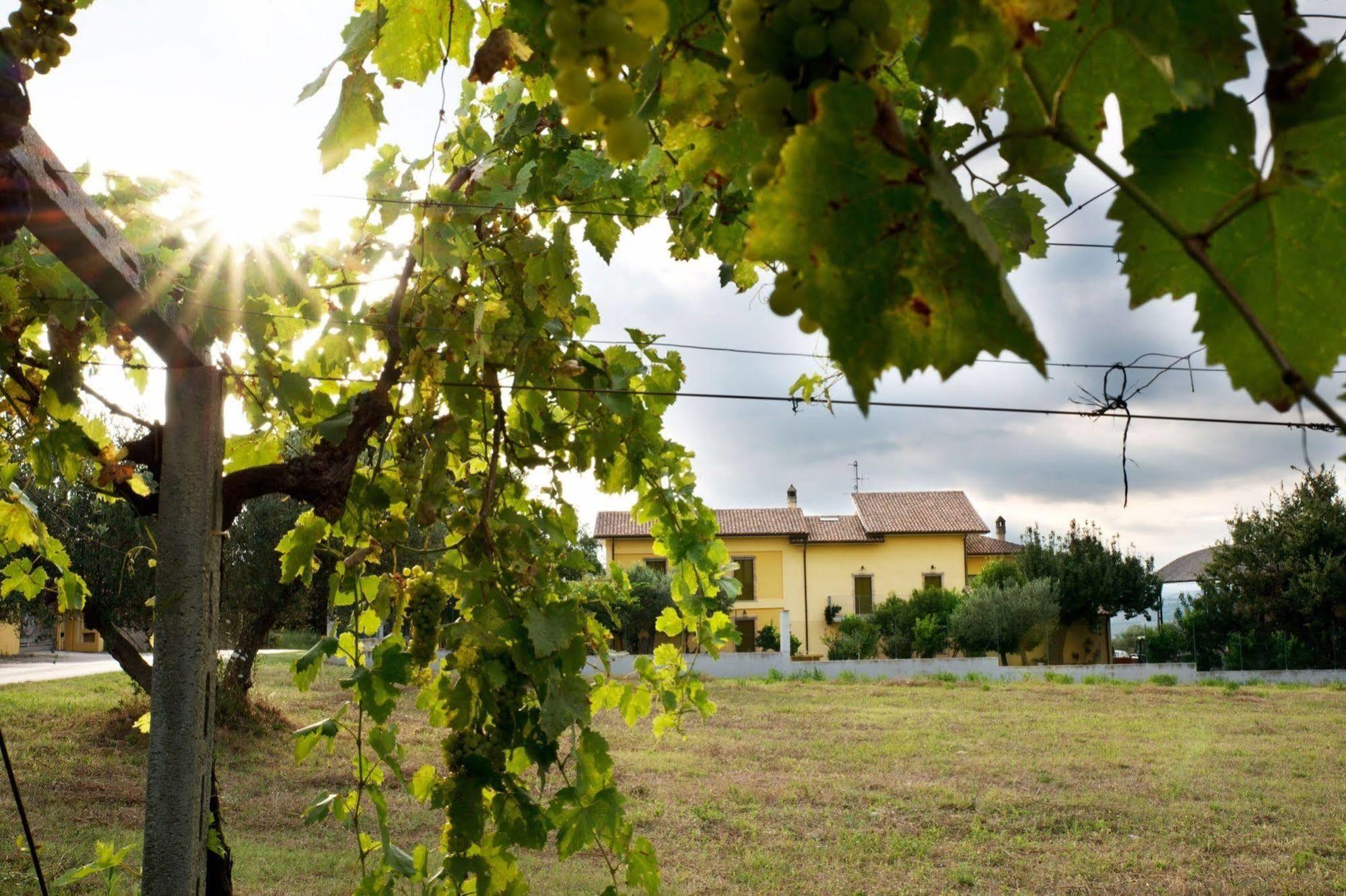 Agriturismo Il Casolare Di Nonno Mario Manoppello ภายนอก รูปภาพ